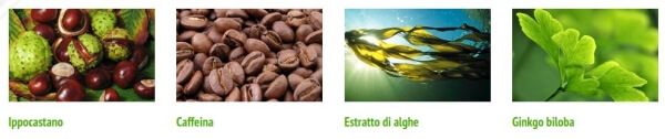 Ingrediente crema de castane de cal, cofeina, alge marine, ginkgo biloba